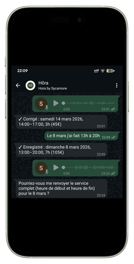 Conversation WhatsApp complète entre une nounou et hōra